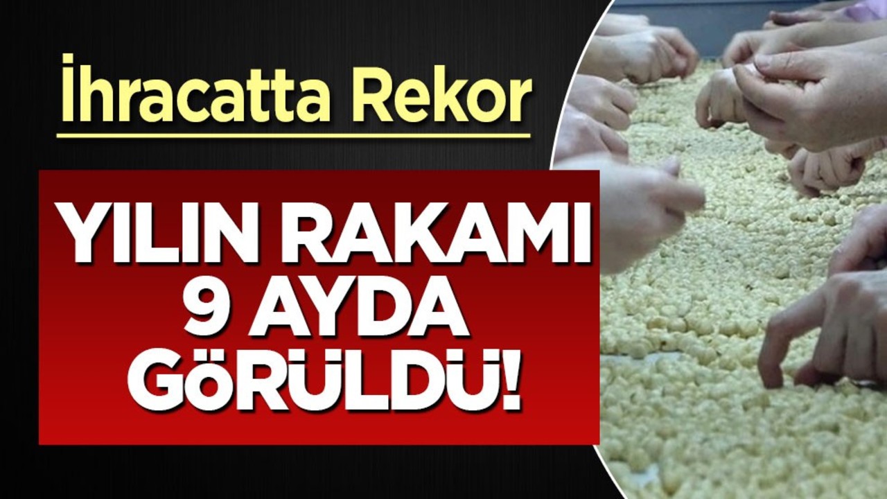 Rekor kimsenin beklemediği an geldi! Fındık ihracatında geçen yılın rakamı 9 ayda görüldü! Milyarlarca gelir