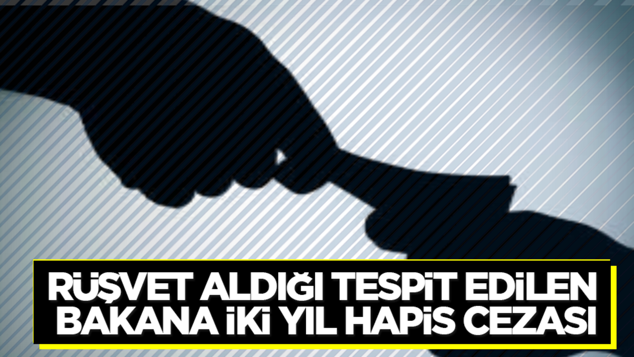 Rüşvet aldığı tespit edilen bakana iki yıl hapis cezası