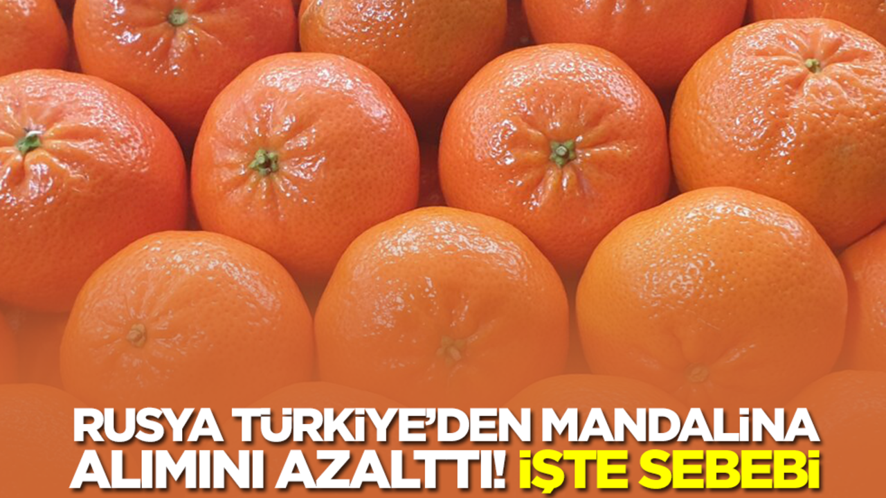 Rusya Türkiye'den mandalina alımını azalttı! İşte sebebi