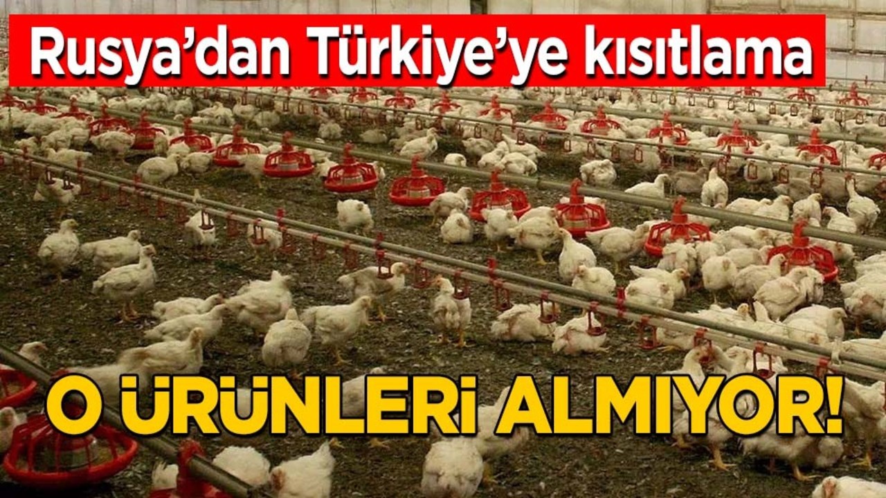 Rusya'dan Türkiye'ye kısıtlama! Bunu sebep gösterdiler, gündemi sarsacak açıklama
