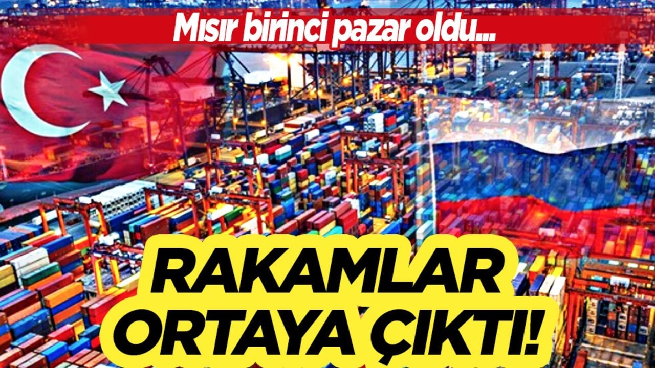 Rusya'nın tahıl ihracatı 72 milyon ton ile rekor kırdı: Mısır birinci pazar oldu! Hacmi yakaladı