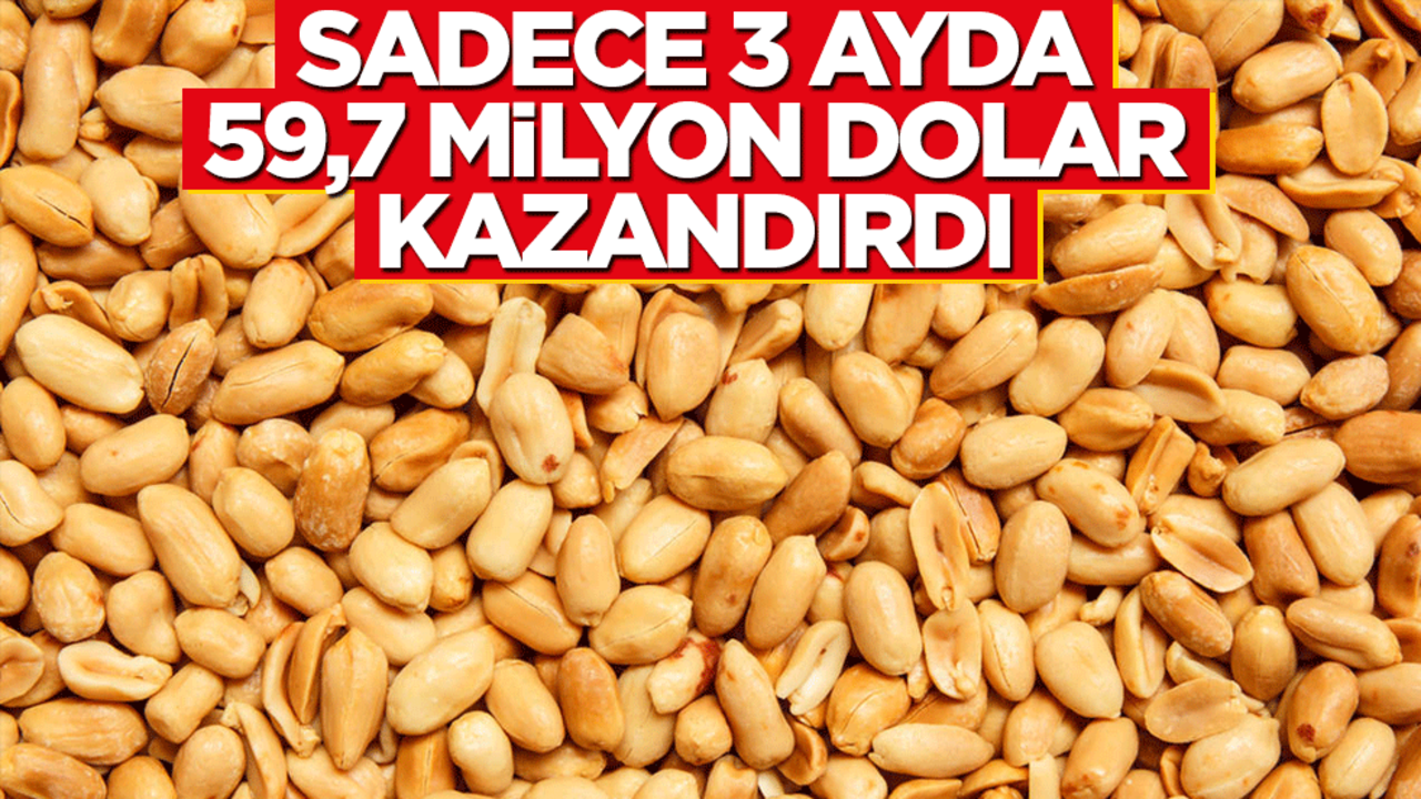 Sadece 3 ayda 59,7 milyon dolar kazandırdı