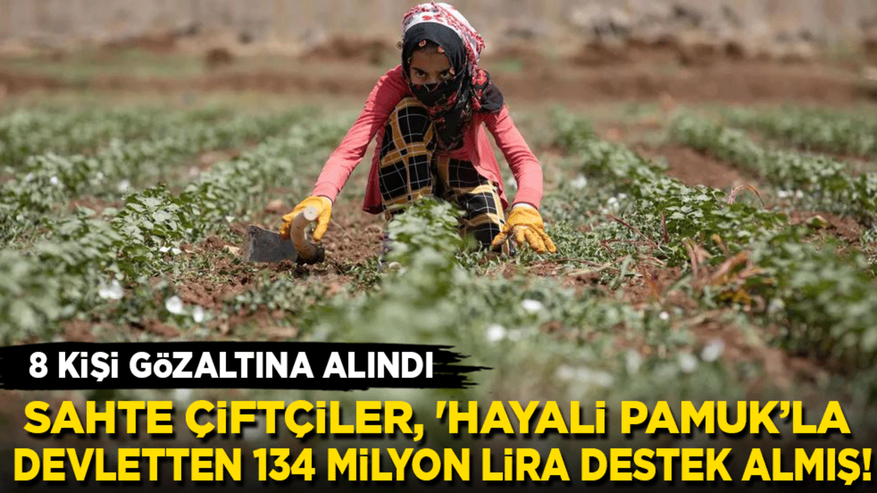 Sahte çiftçiler, 'hayali pamuk'la devletten 134 milyon lira destek almış!