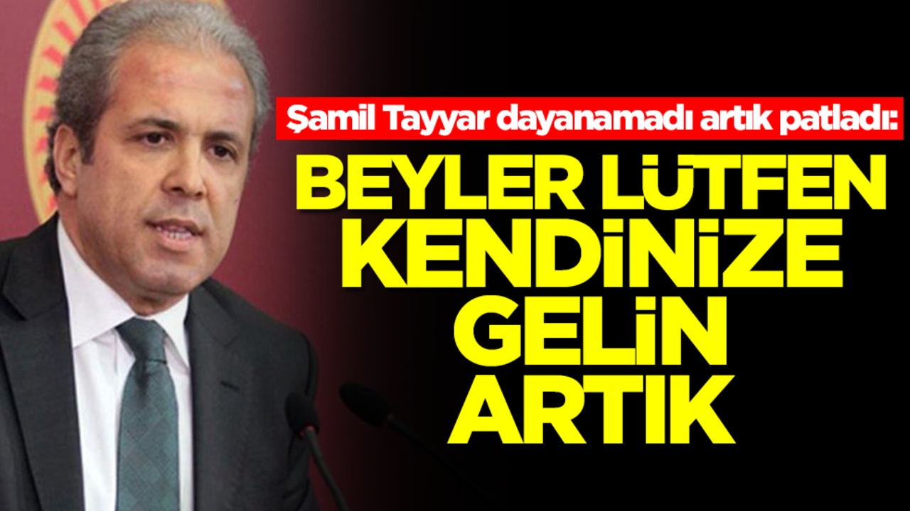 Şamil Tayyar dayanamadı artık patladı: Beyler lütfen kendinize gelin artık