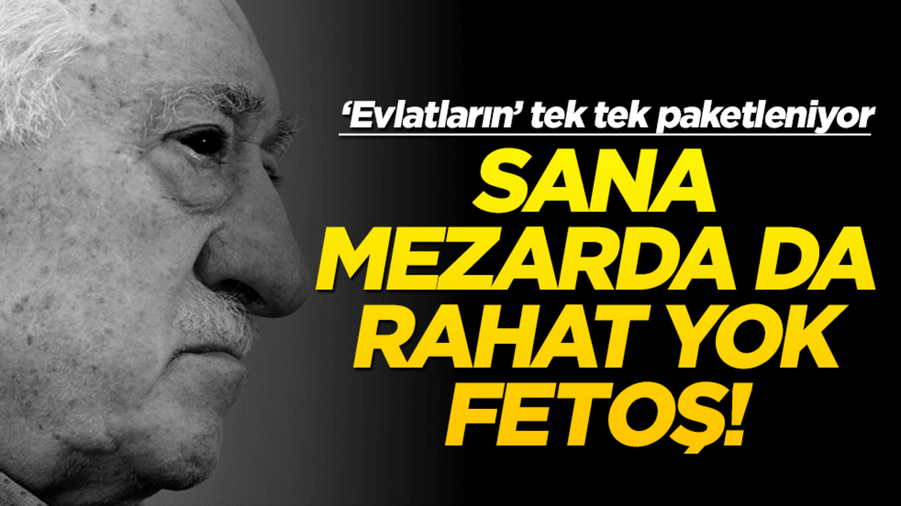 Sana mezarında da rahat yok fetoş! ‘Evlatların’ tek tek paketleniyor