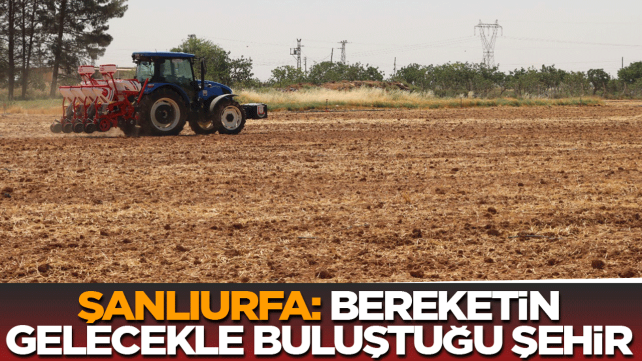Şanlıurfa: Bereketin gelecekle bulutuğu şehir