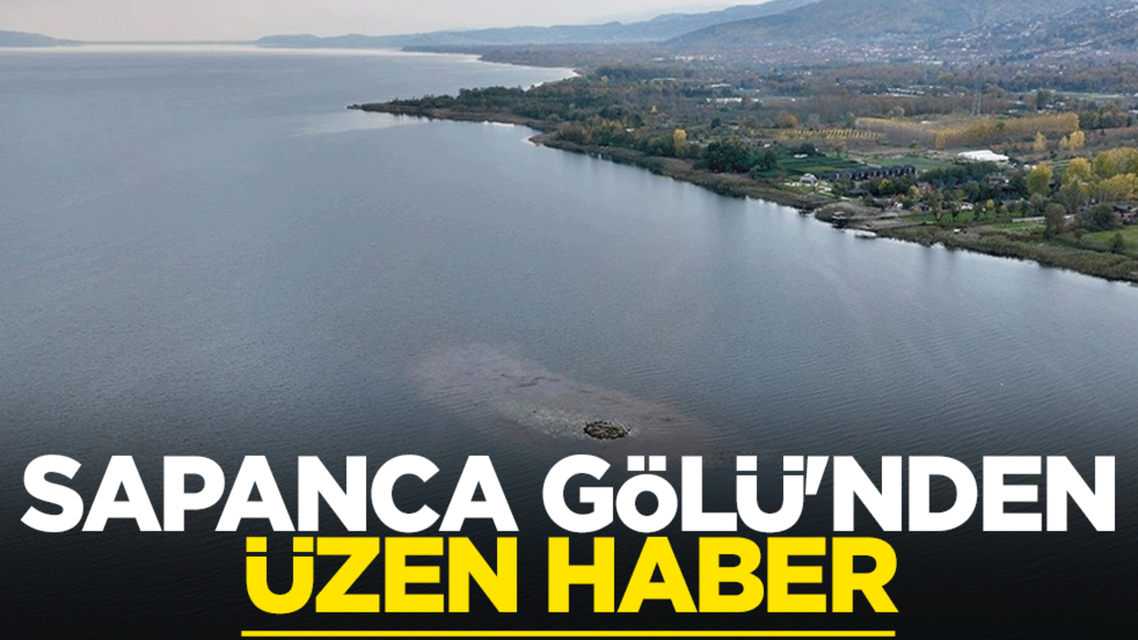 Sapanca Gölü'nden üzen haber