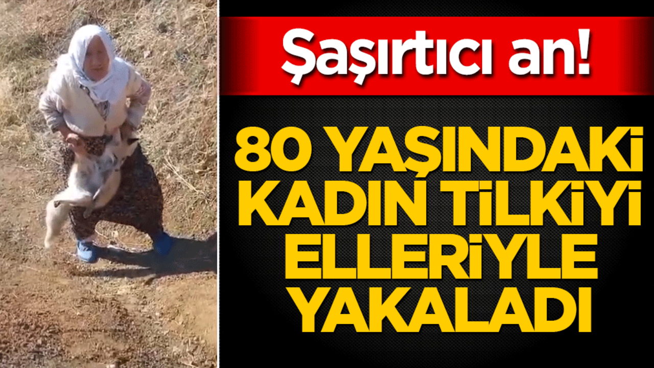 Şaşırtıcı an! 80 yaşındaki kadın tilkiyi elleriyle yakaladı