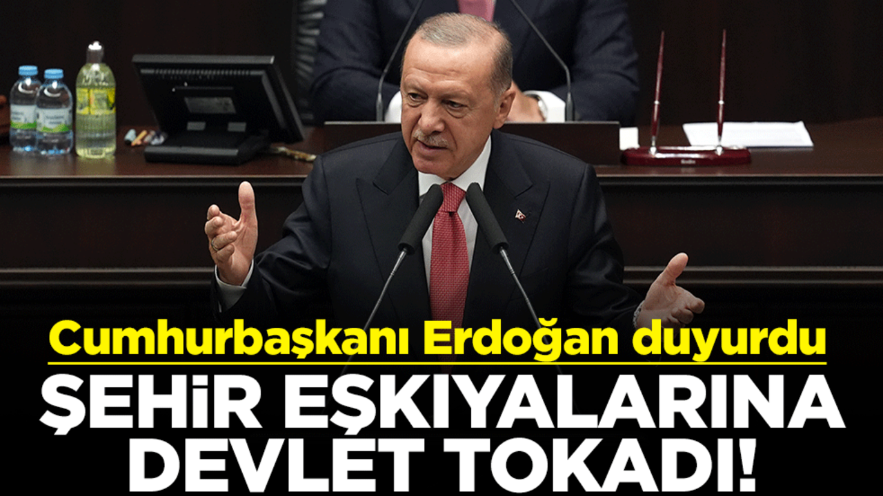 Şehir eşkıyalarına devlet tokadı! Cumhurbaşkanı Erdoğan duyurdu