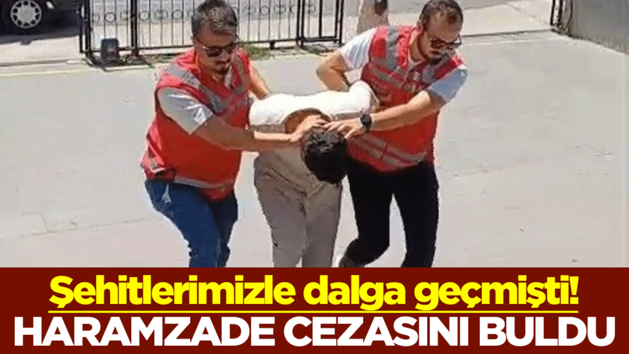 Şehitlerimizle dalga geçmişti! Haramzade cezasını buldu