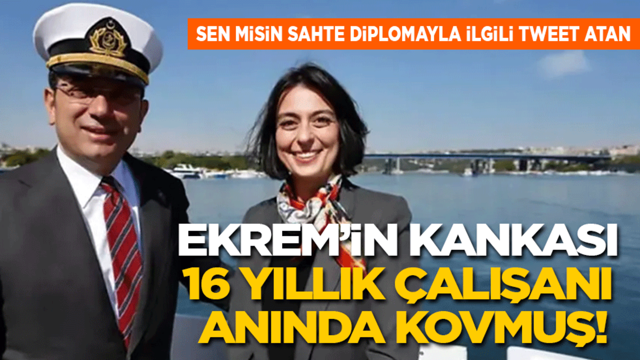 Sen misin İmamoğlu’nun diplomasıyla ilgili twet atan: Ekrem'in kankası, 16 yıllık çalışanı anında kovmuş!
