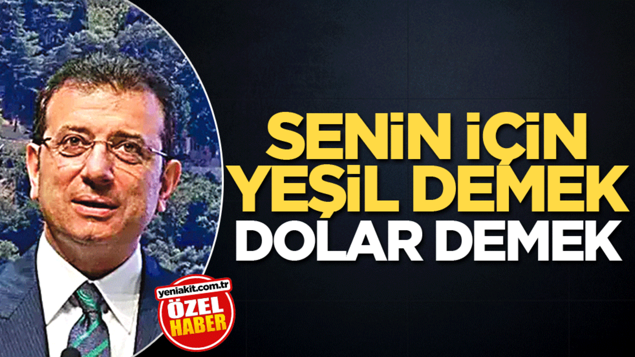 Senin için yeşil demek dolar demek