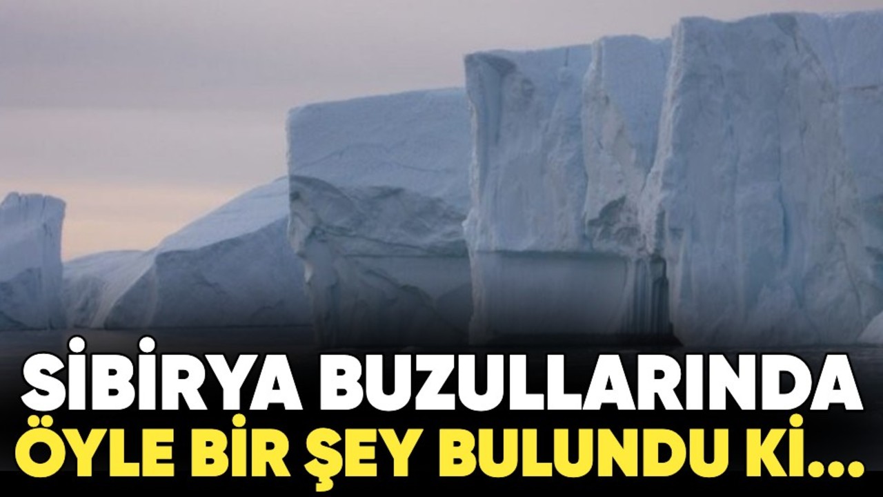 Sibirya buzullarında öyle bir şey bulundu ki...