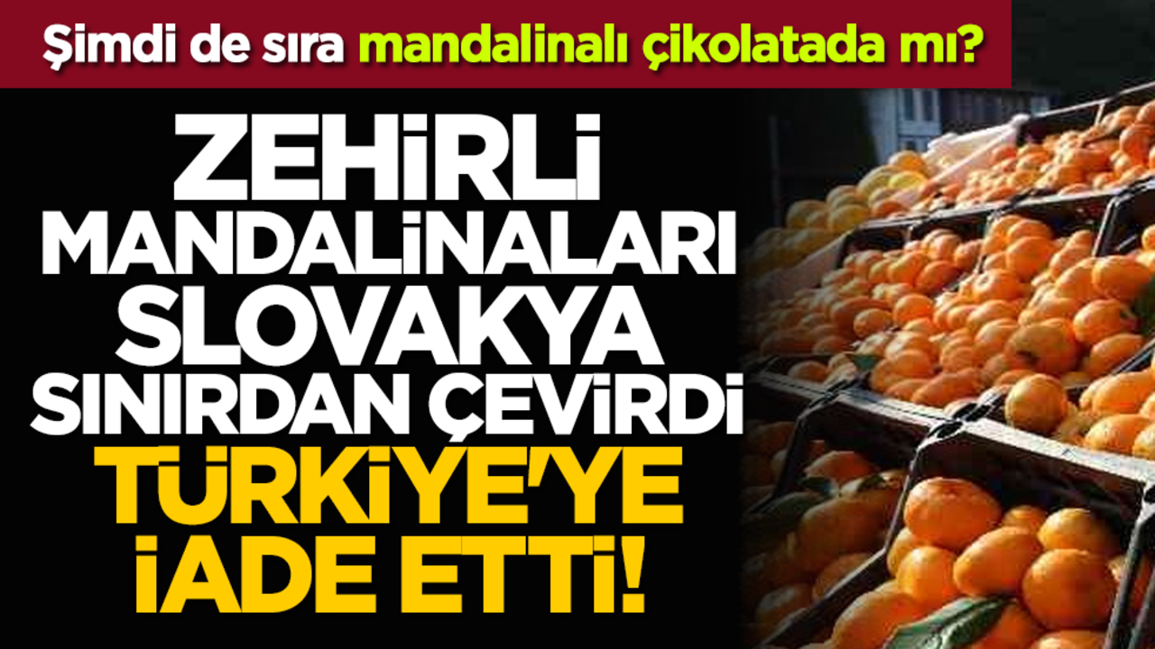 Şimdi de sıra mandalinalı çikolatada mı? Zehirli mandalinaları Slovakya sınırdan çevirdi, Türkiye'ye iade etti!
