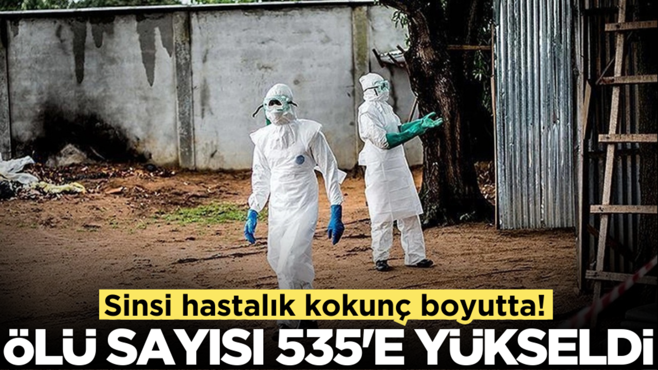 Sinsi hastalık korkunç boyutta! Ölü sayısı 535'e yükseldi
