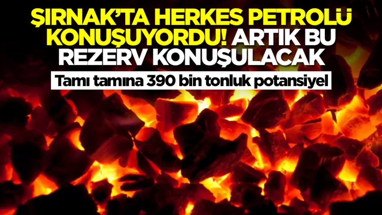 Şırnak'ta herkes petrolü konuşuyordu! Artık bu rezerv konuşulacak: Tamı tamına 390 bin ton...