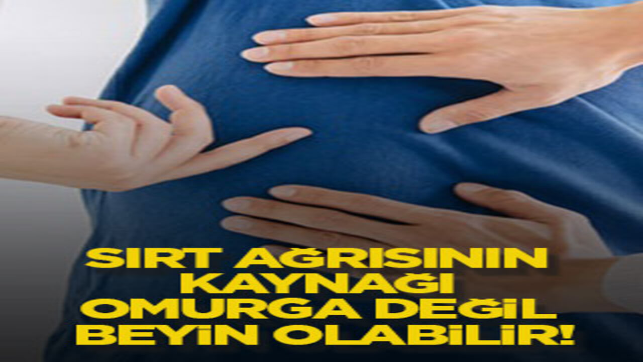 Sırt ağrısının kaynağı omurga değil beyin olabilir!