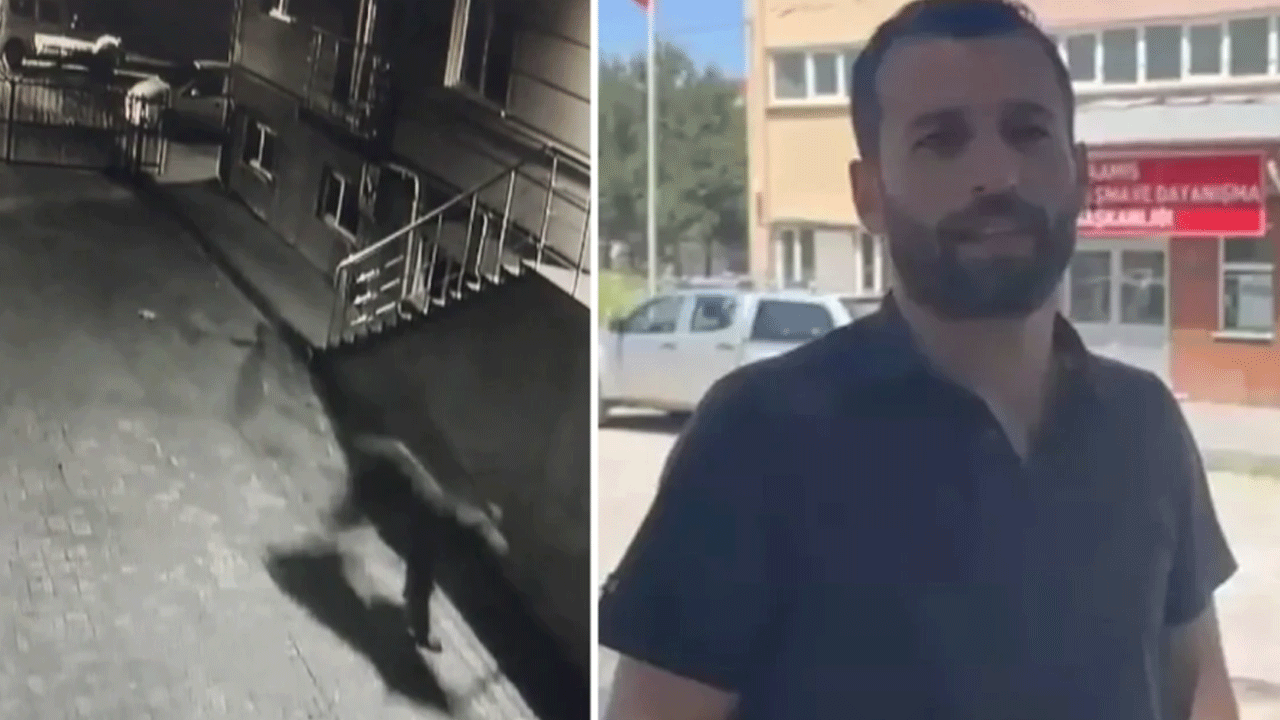 Sitede ayı dehşeti! İçeriye dalıp bina sakinlerini kovaladı