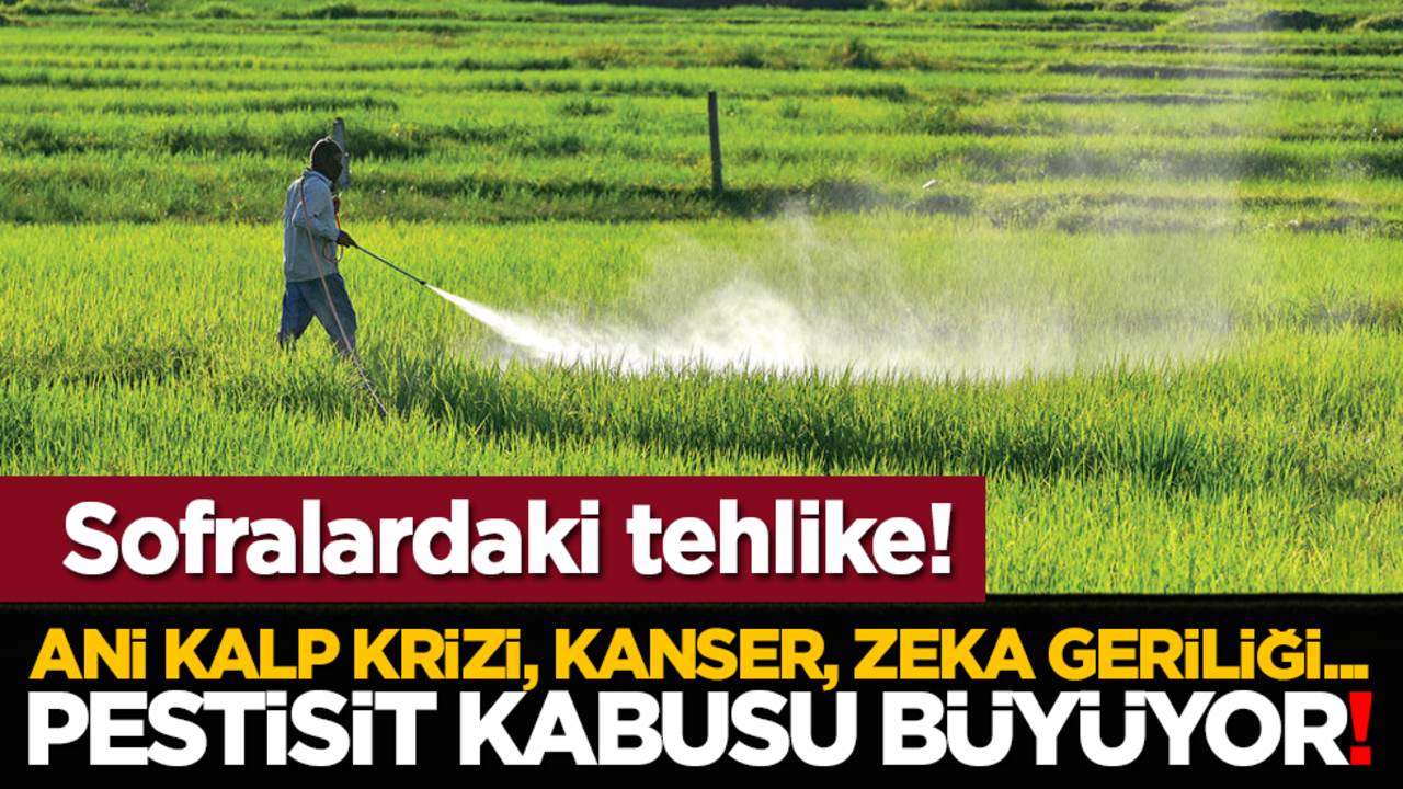 Sofralardaki tehlike! Ani kalp krizi, kanser, zeka geriliği: Pestisit kabusu büyüyor!