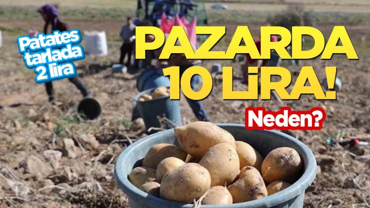 Sofraların vazgeçilmezi patates herkesin favorisi! Üretici isyan etti: Bu ürün Tarlada 2 lira! Pazarda kaç para?