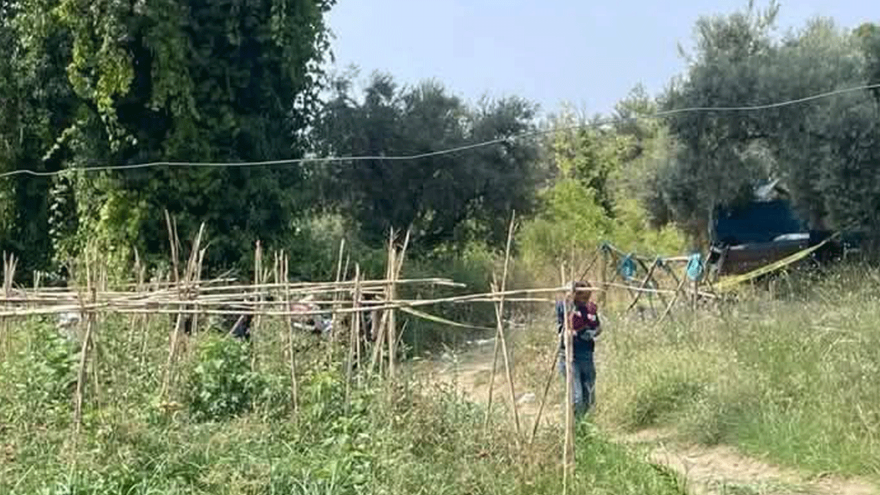 Şoke eden ölüm: Bahçesini domuzlardan korumak için evden çıktı, sabah yüzünde ısırık izleriyle ölü bulundu