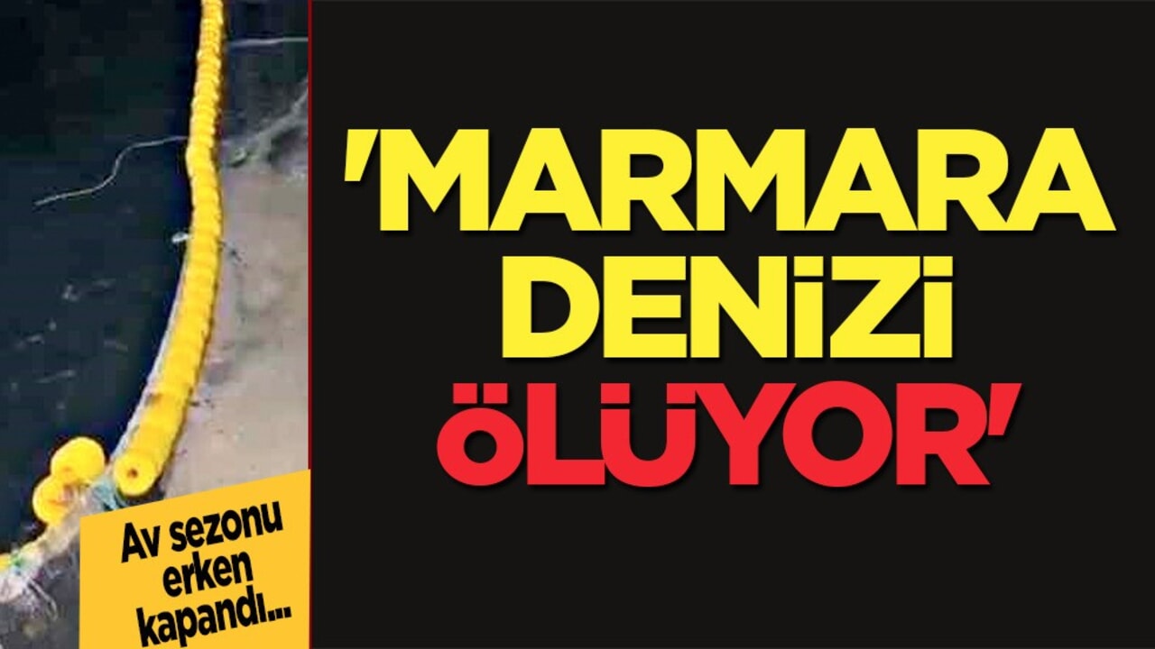 Kabus yeniden hortladı: Av sezonu erken kapandı: Marmara denizi ölüyor