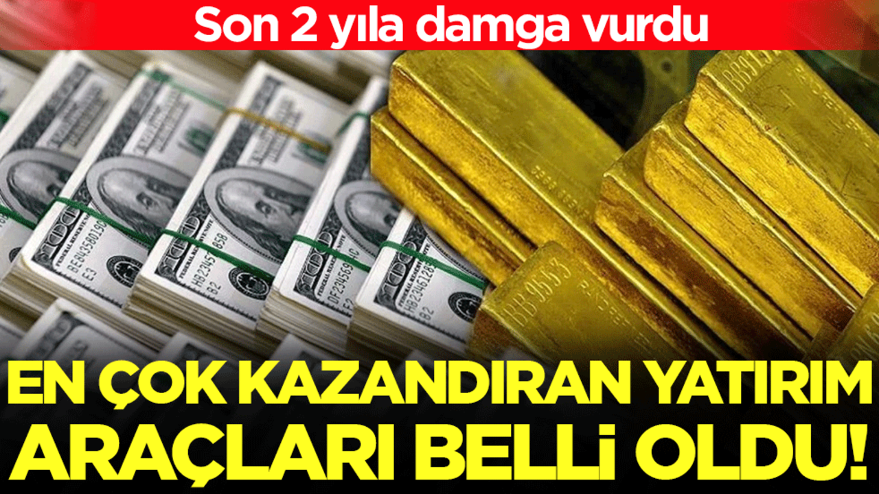 Son 2 yıla damga vurdu: En çok kazandıran yatırım araçları belli oldu!