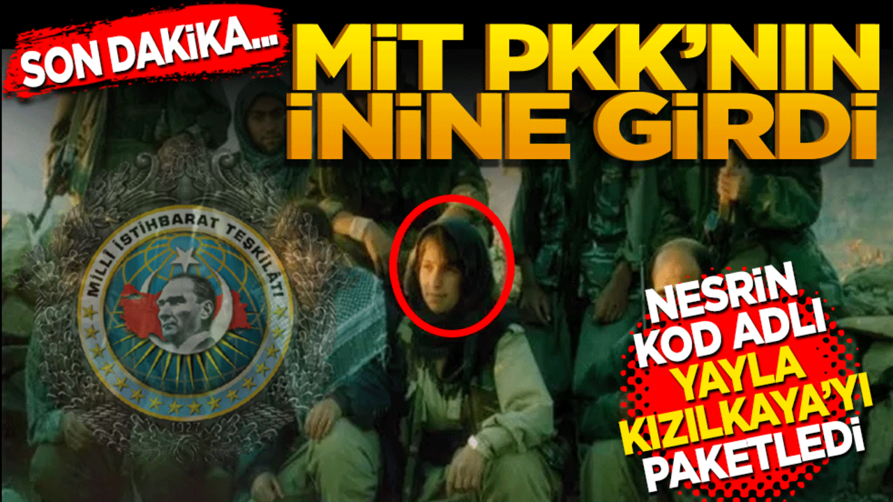 Son dakika: MİT, PKK’nın inine girdi o teröristi paketledi
