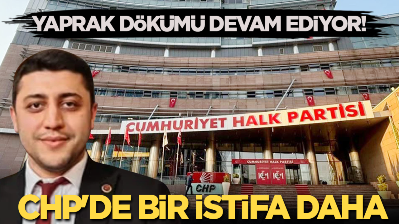 Son dakika: Yaprak dökümü devam ediyor! CHP'de bir istifa daha
