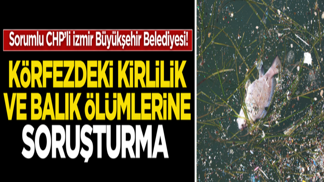 Sorumlu CHP’li İzmir Büyükşehir Belediyesi! Körfezdeki kirlilik ve balık ölümlerine soruşturma