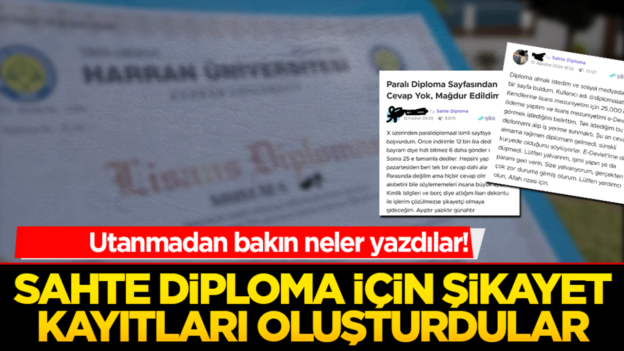 Sosyal medya ayağa kalktı! Sahte diploma için şikayet kayıtları oluşturdular