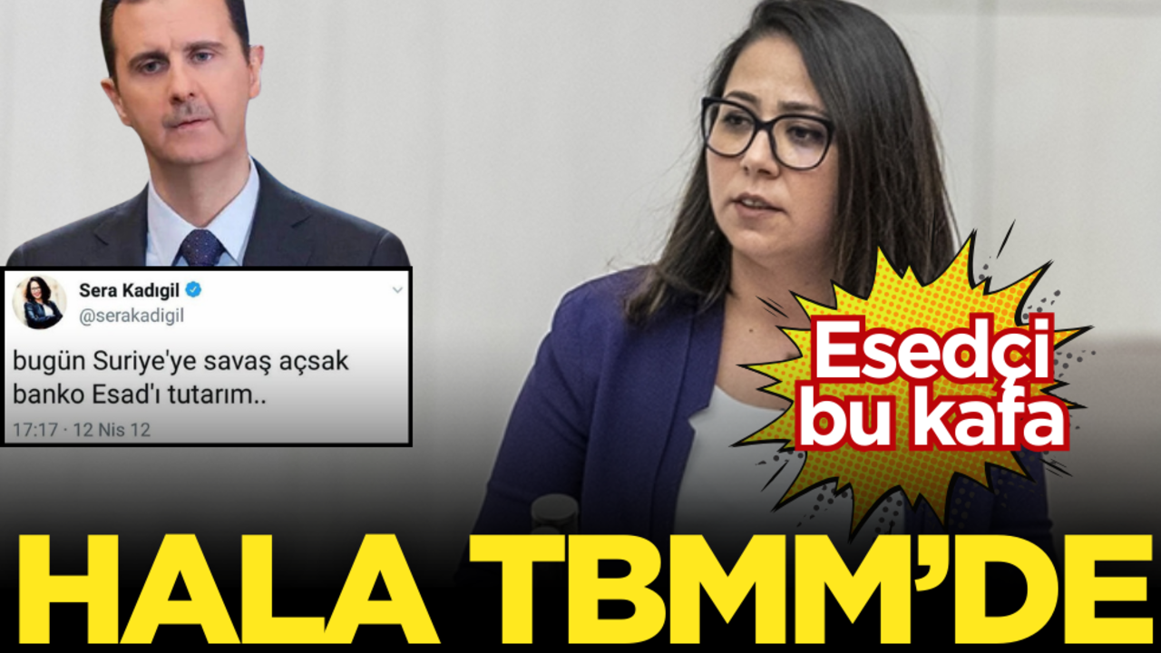 "Suriye’ye savaş açsak banko Esad’ı tutarım" diyen o isim hala TBMM’de!