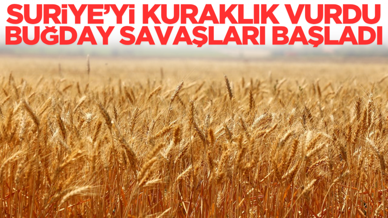 Suriye’yi kuraklık vurdu, buğday savaşları başladı!