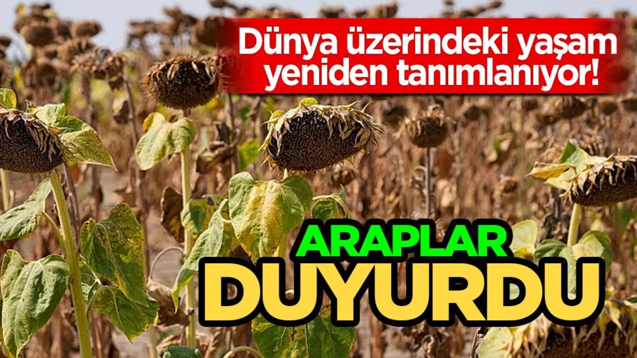 Suudi Arabistan'da yaşam yeniden tanımlanıyor: 80 ülkeyi ayağa kaldıracak! 