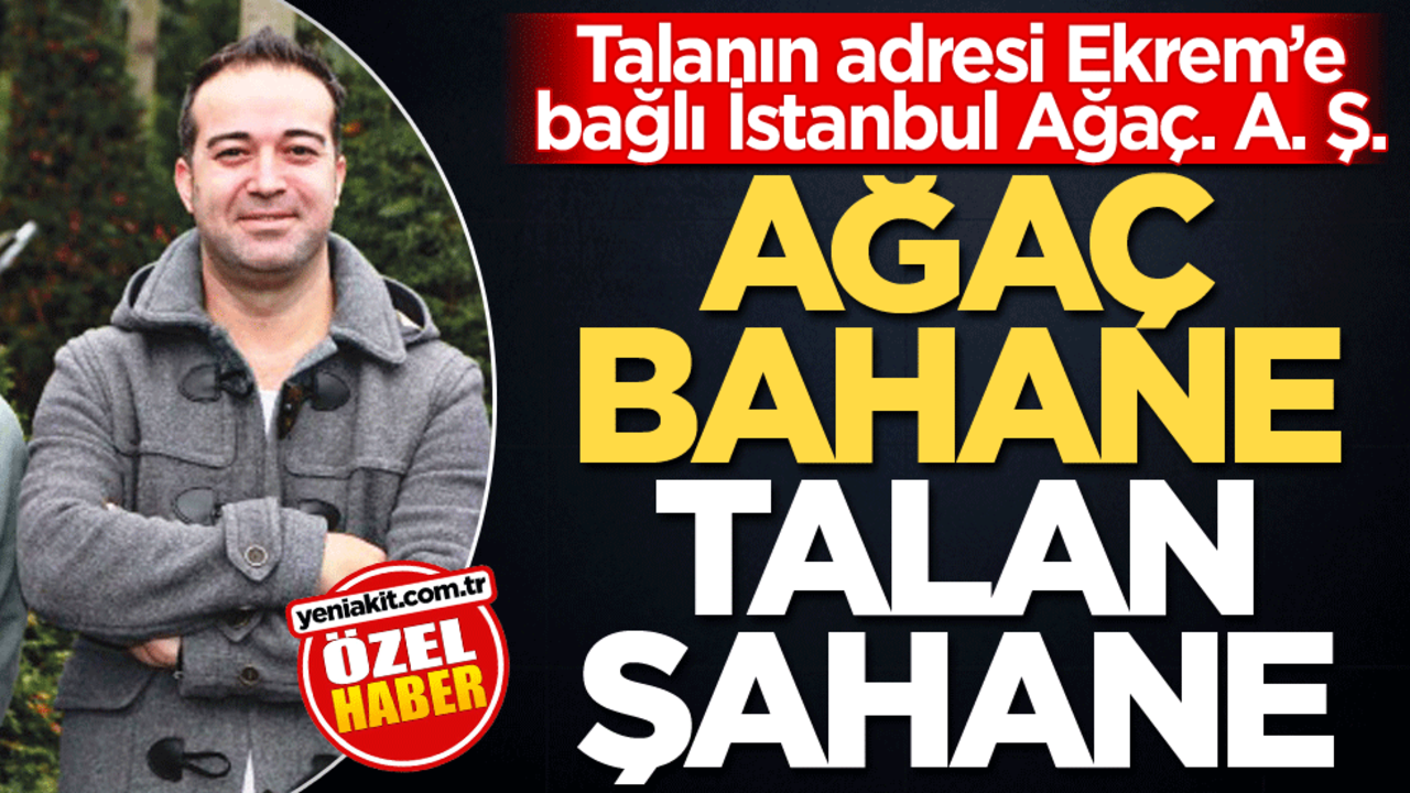 Talanın adresi Ekrem’e bağlı İstanbul Ağaç. A. Ş.! Ağaç bahane talan şahane