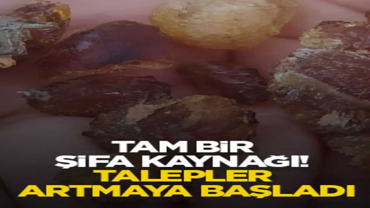 Tam bir şifa kaynağı! Talepler artmaya başladı