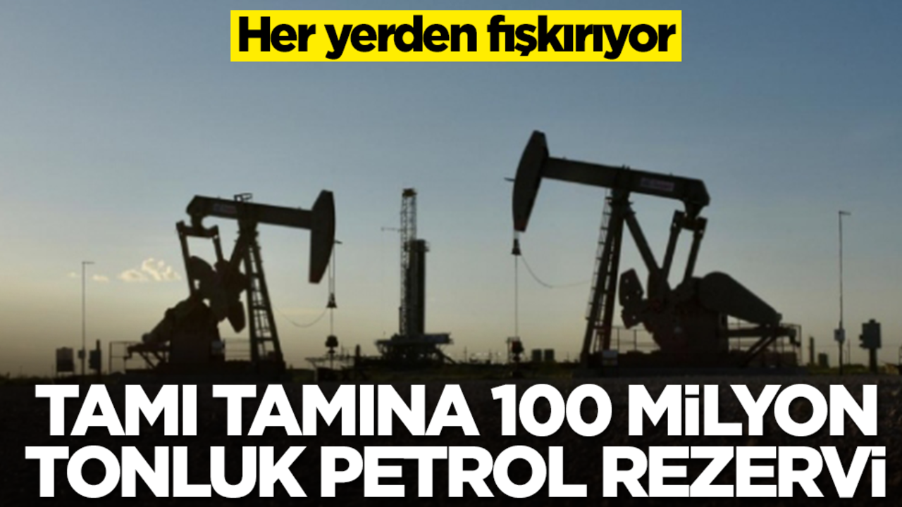 Tamı tamına 100 milyon tonluk petrol rezervi! Her yerden fışkırıyor