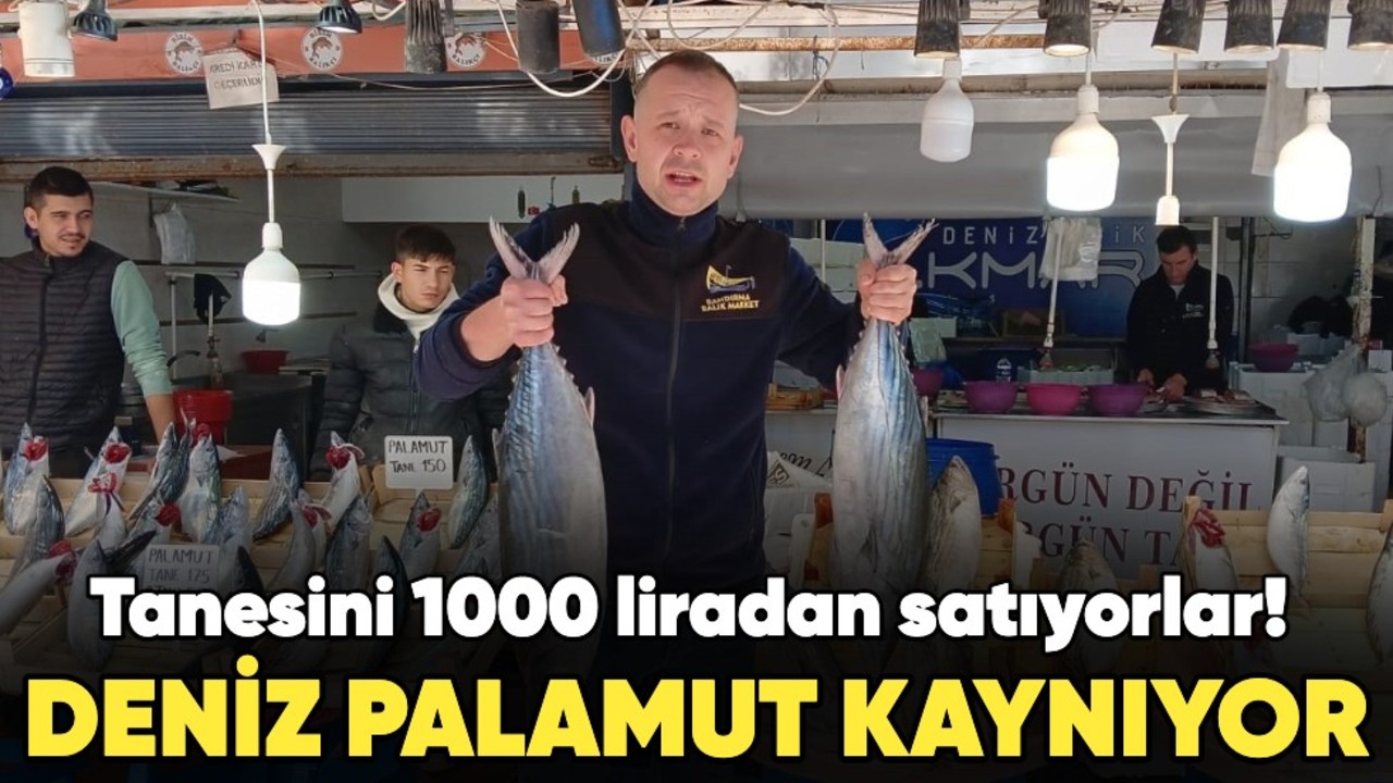 Tanesini 1000 liradan satıyorlar... Deniz palamut kaynıyor!