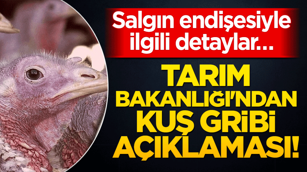 Tarım Bakanlığı'ndan kuş gribi açıklaması! Salgın endişesiyle ilgili detaylar…