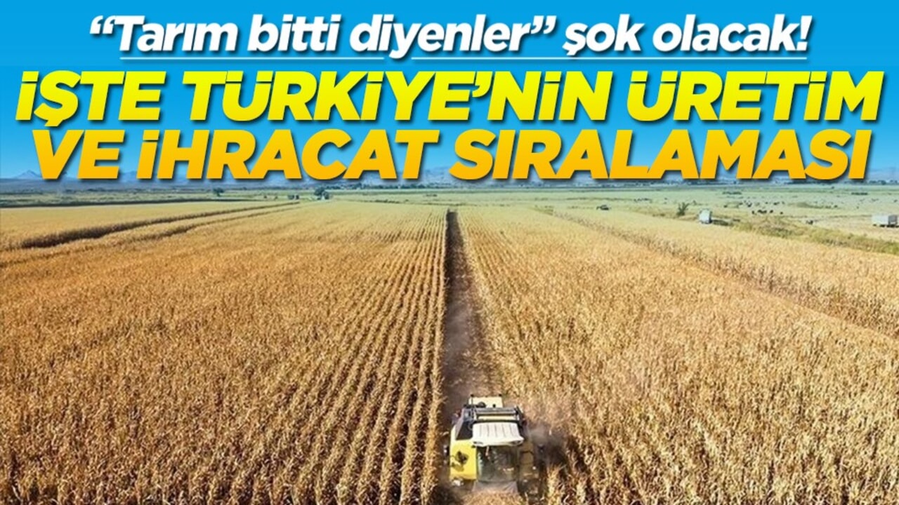 "Tarım bitti diyenler" şok olacak! İşte Türkiye'nin üretim ve ihracat sıralaması