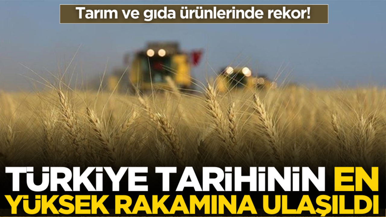 Tarım ve gıda ürünlerinde rekor! Türkiye tarihinin en yüksek rakamına ulaşıldı