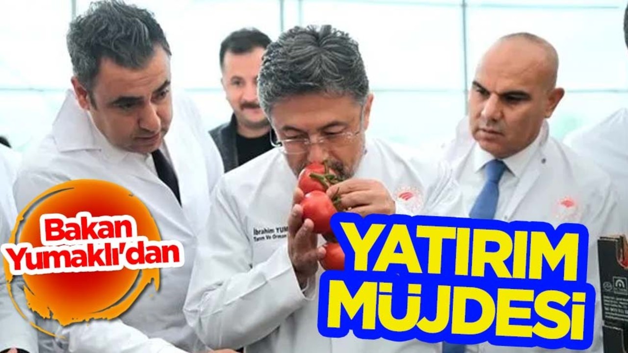 Tarım ve Orman Bakanı Yumaklı'dan Türkiye'de yatırım müjdesi: Hedef açıklandı! Hazırlanıyor