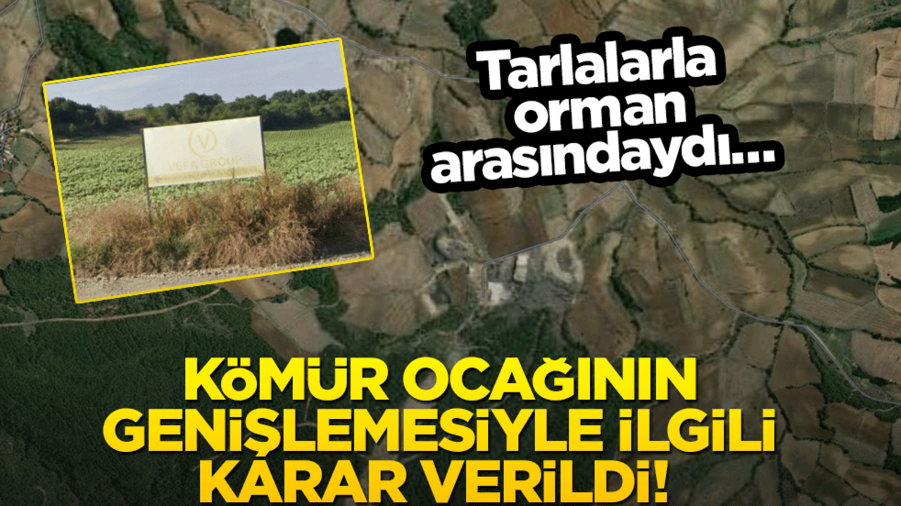 Tarlalarla orman arasındaydı… Kömür ocağının genişlemesiyle ilgili karar verildi!