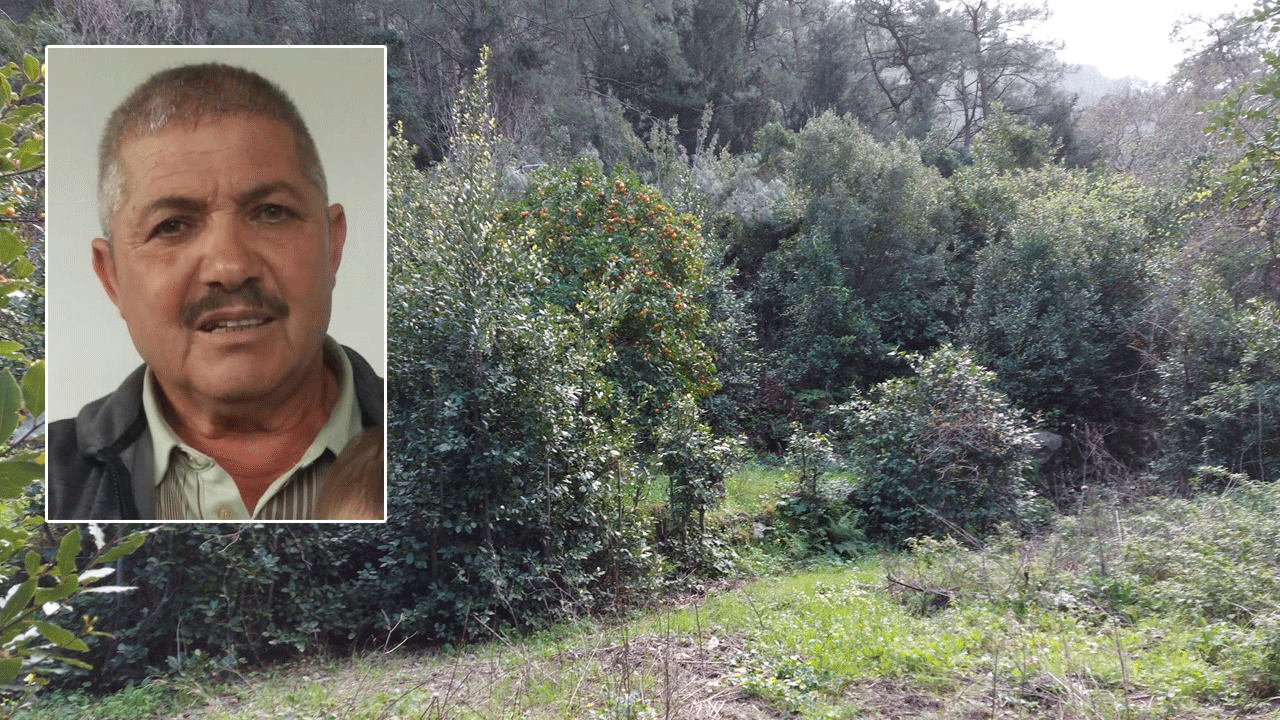 Tarlaya gitti, uçurumdan düştü! Ölüsü döndü…