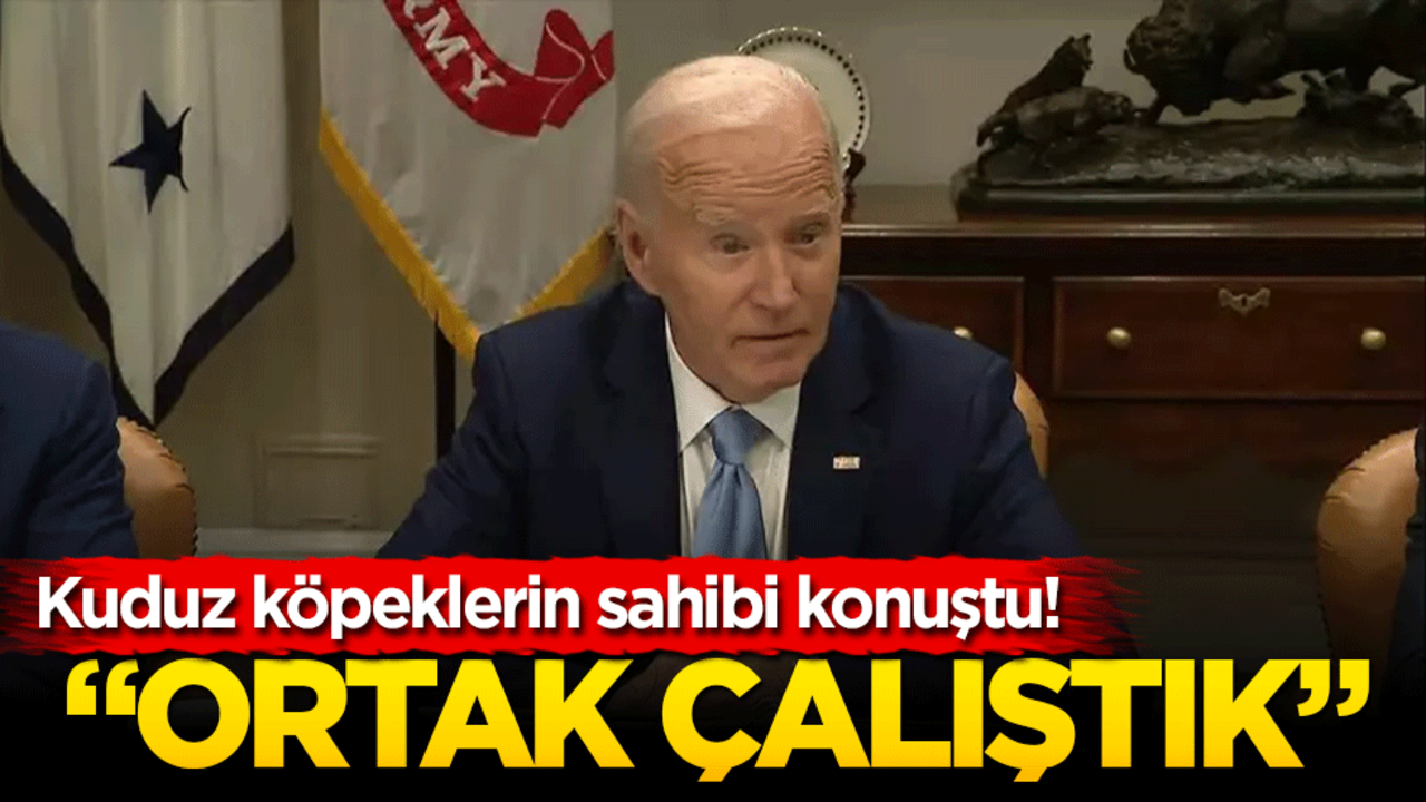 Tasmalı köpeklerin sahibi konuştu! "Ortak çalıştık"