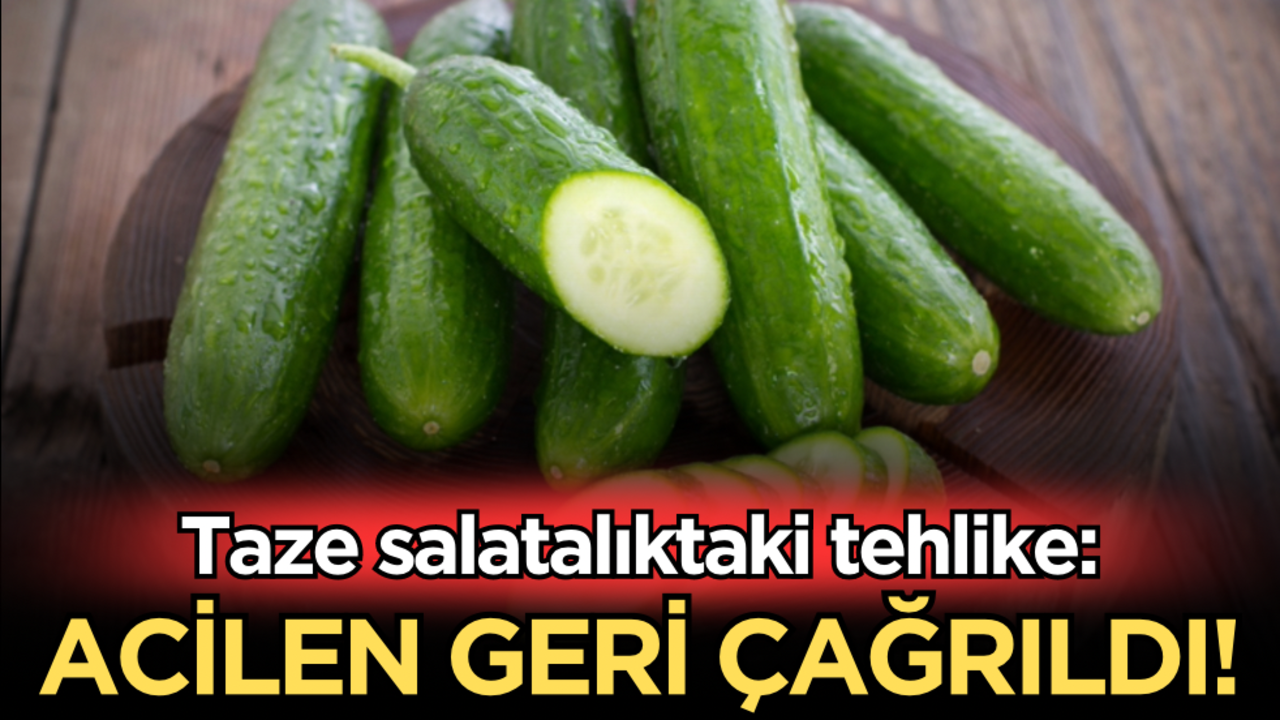 Taze salatalıktaki tehlike: Acilen geri çağrıldı!