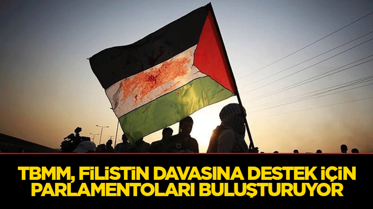 TBMM, Filistin davasına destek için parlamentoları buluşturuyor
