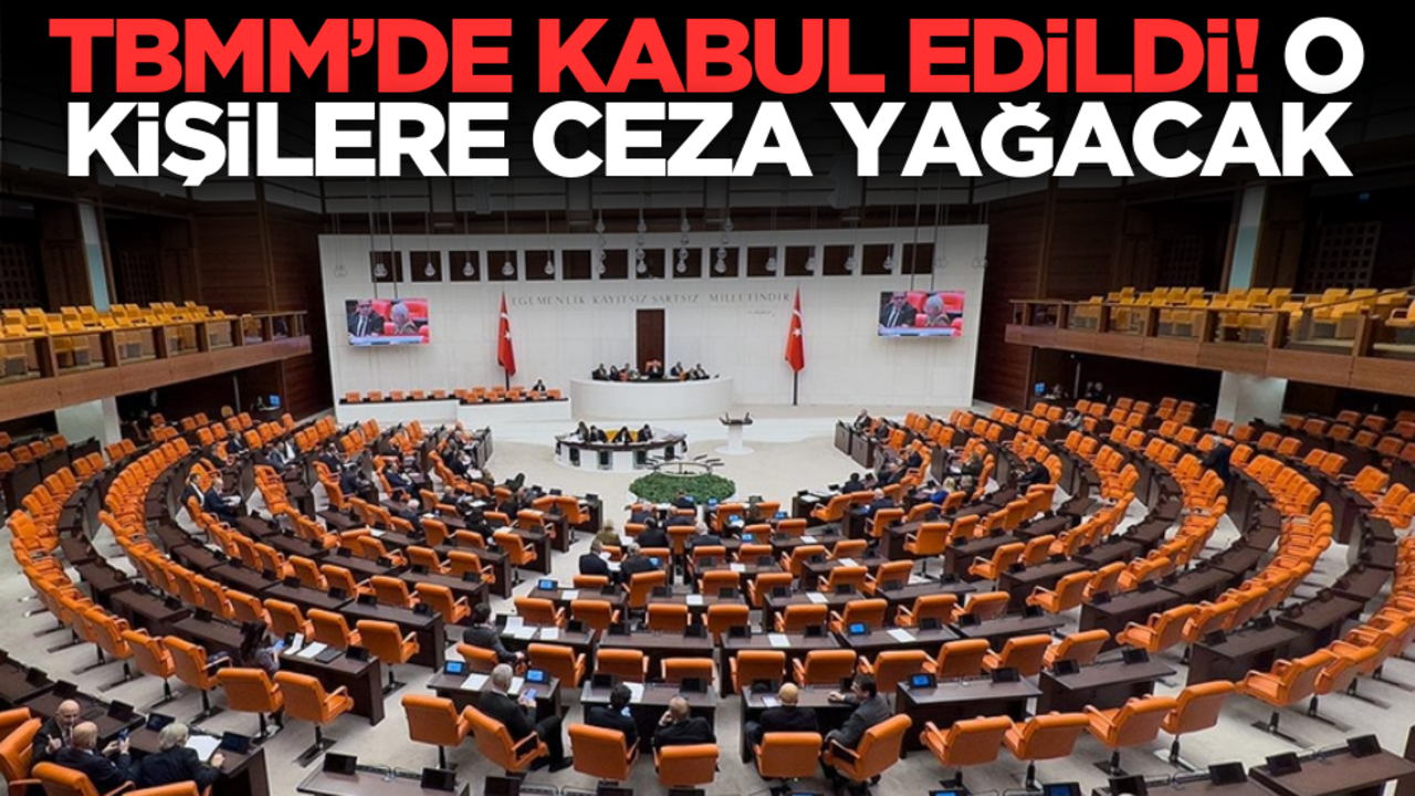TBMM’de kabul edildi: O kişilere ceza yağacak