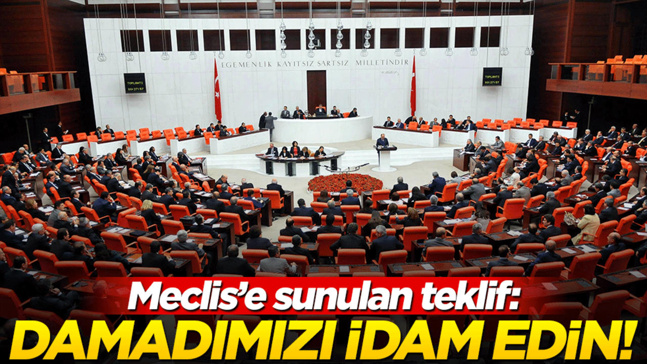 TBMM’ye sunulan ilginç teklifler