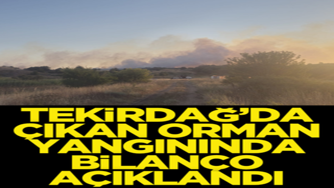 Tekirdağ'da çıkan orman yangınında bilanço açıklandı